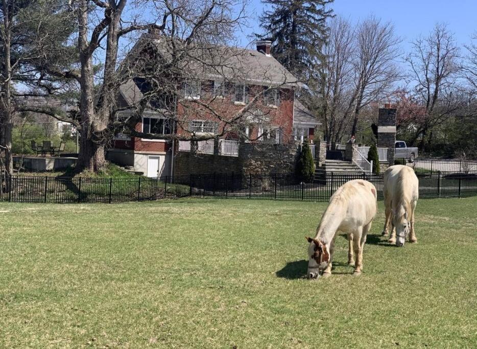 Beautiful Equestrian Estate Home W/ Hot Tub! Loveland Экстерьер фото