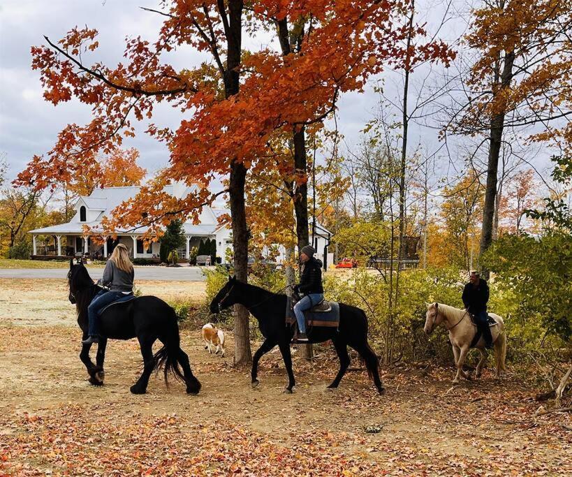 Beautiful Equestrian Estate Home W/ Hot Tub! Loveland Экстерьер фото